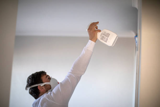 Best Attic Mold Removal  in Polkton, NC