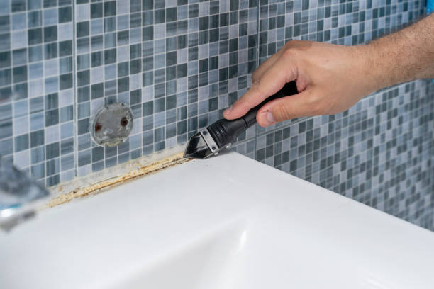 Best Mold Cleaning Services  in Polkton, NC
