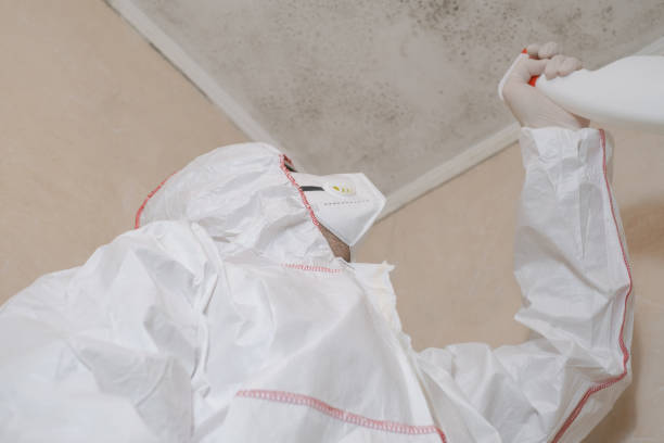Best Black Mold Removal  in Polkton, NC