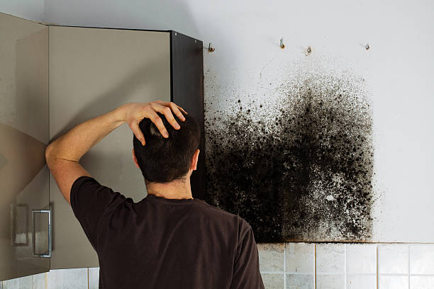 Best Emergency Mold Removal  in Polkton, NC